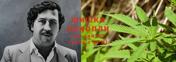 стафф Белокуриха