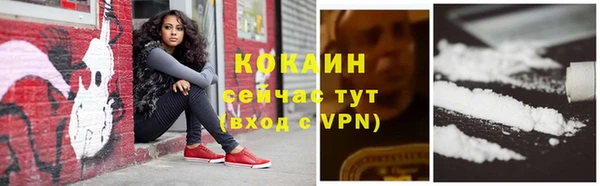 стафф Белокуриха