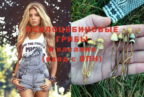 наркотики Новозыбков