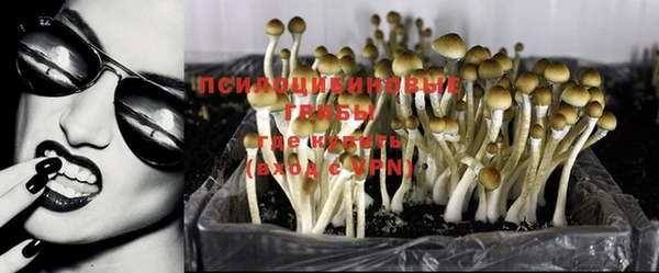 наркотики Новозыбков
