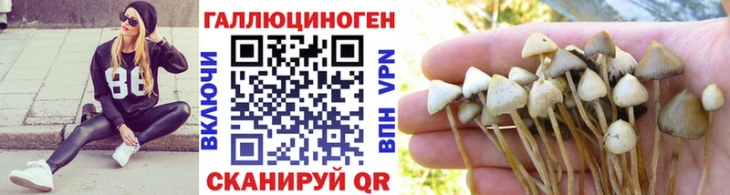 купить закладку  Тихвин  Галлюциногенные грибы ЛСД 